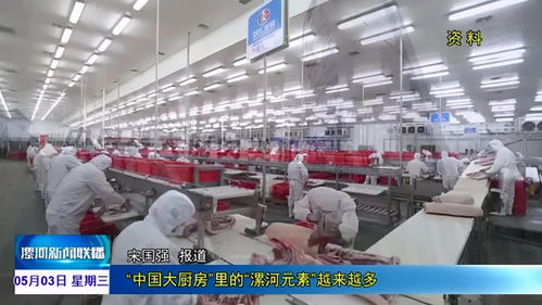 從快餐到奢侈 國際貨物運輸如何讓垃圾食品變身高檔奢侈品